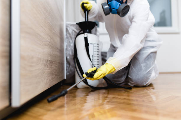 Best Affordable Pest Control Services  in Williams, OR