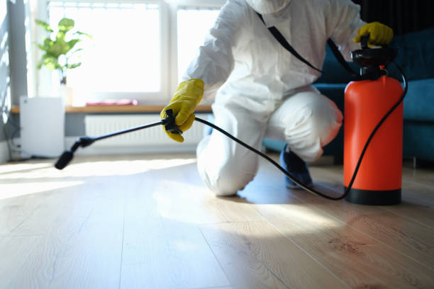 Best Flea Control Services  in Williams, OR