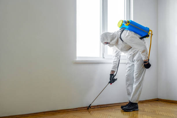 Best Commercial Pest Control Services  in Williams, OR