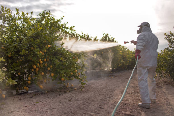 Best Mosquito Control Services  in Williams, OR