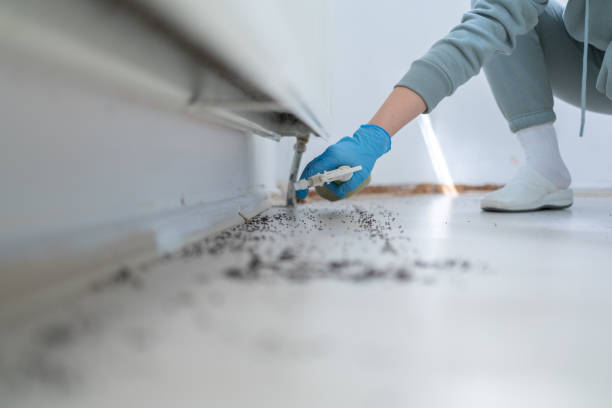 Best Pest Control Near Me  in Williams, OR