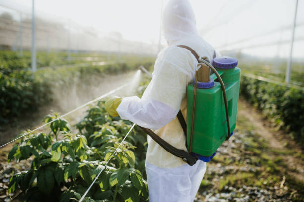 Best Insect Control  in Williams, OR